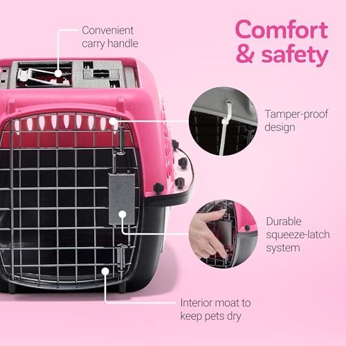 Petmate Two Door Plastic Pet Kennel, XS 19in - Image 6