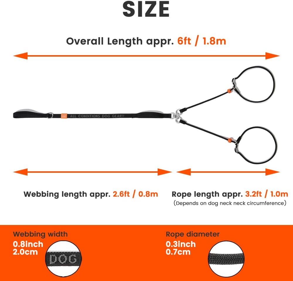 Howgo Double Slip Leash Slip Lead with Two Handles| Dual Dog Slip Lead for 2 Dogs,360° Swivel No Tangle | Dog Training Collar | Double Clip Leash Coupler and Splitter (MintGreen, 6FT)