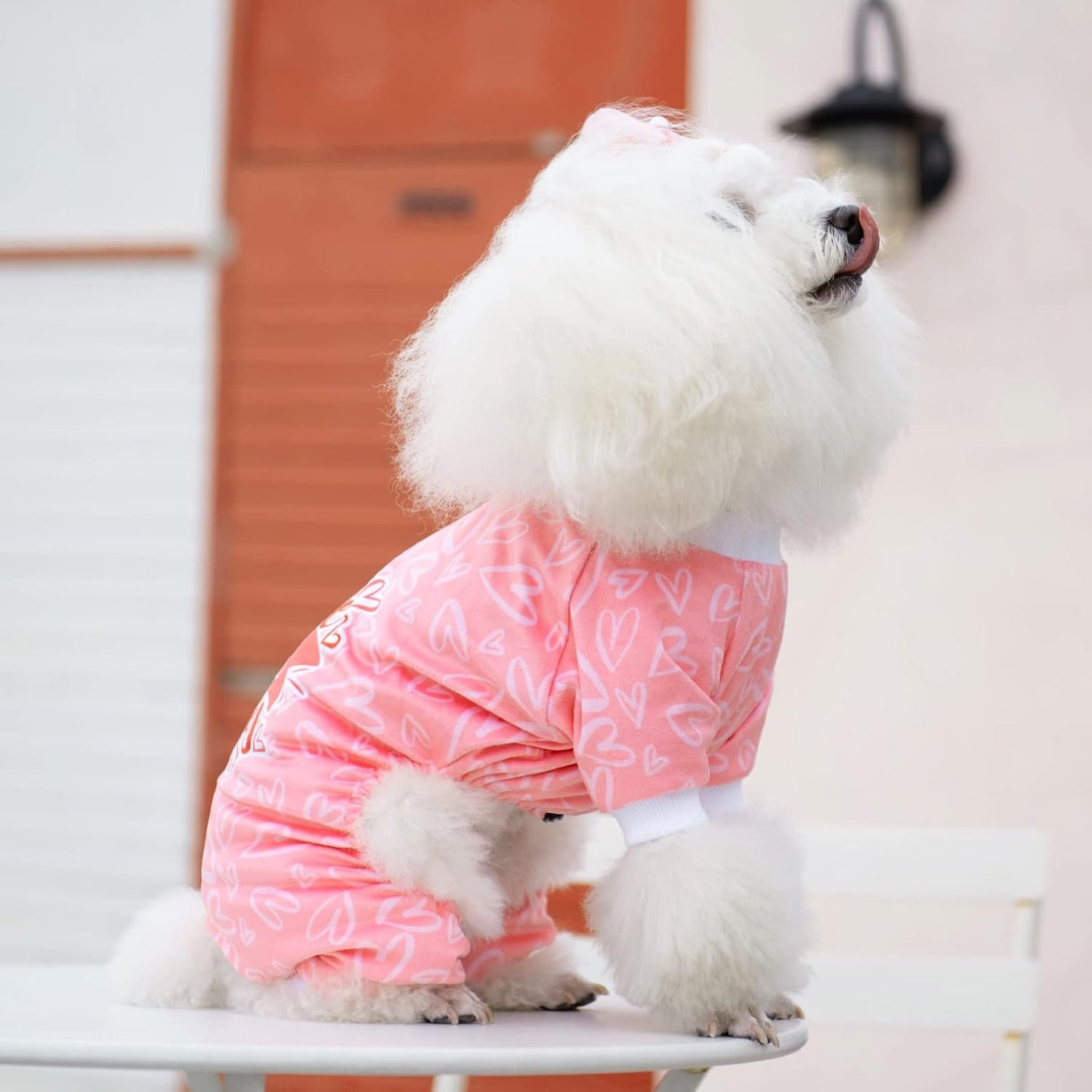 CuteBone Dog Valentine's Day Pajamas Puppy Onesies Small Dogs Soft Pjs Coat Cat Apparel Comfy Pet Clothes Outfit Doggie Bodysuit P273M
