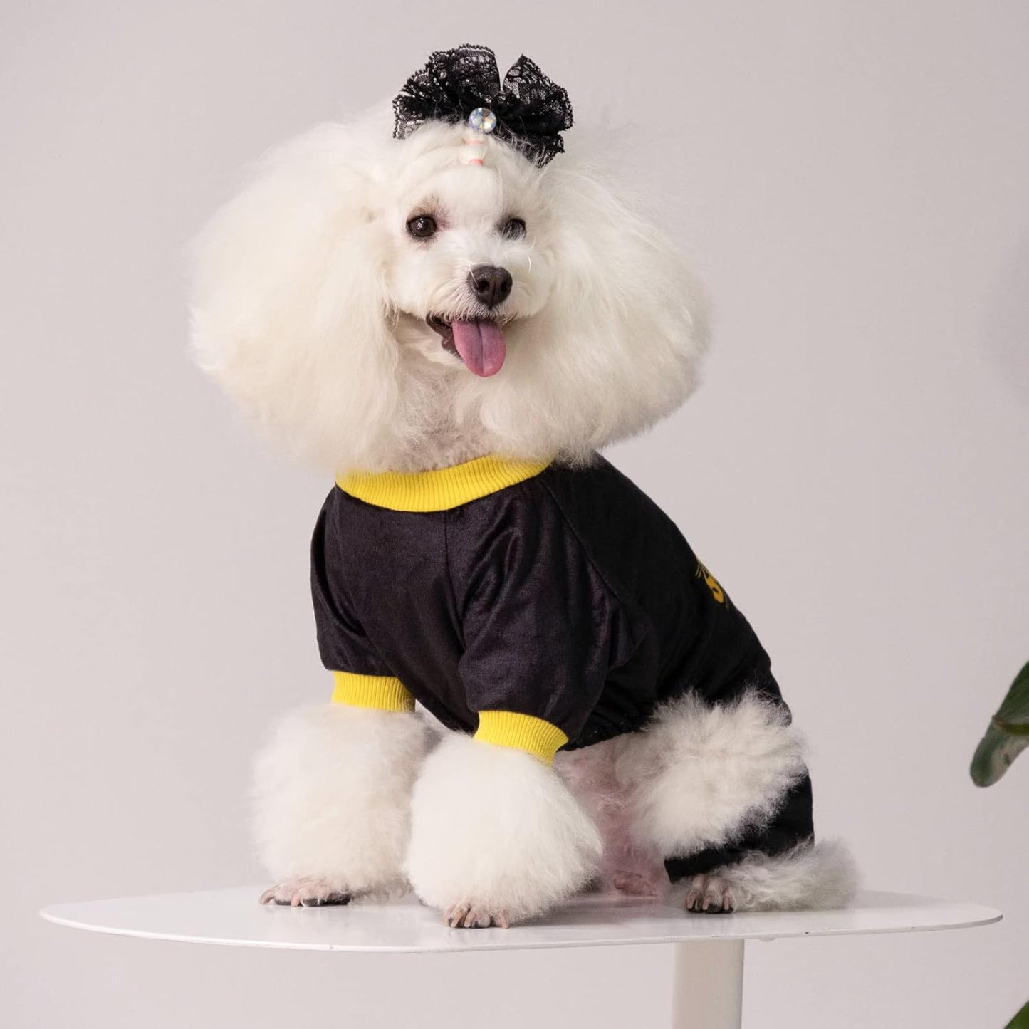 CuteBone Dog Christmas Pajamas Puppy Onesies Small Dogs Soft Pjs Coat Cat Apparel Comfy Pet Clothes Outfit Doggie Bodysuit P264M