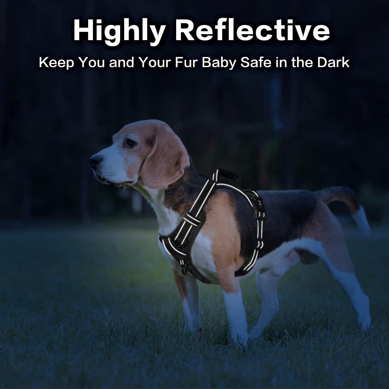 PoyPet No Pull Dog Harness, No Choke Front Clip Reflective Dog Vest with Soft Padded Vertical Handle, 3 Leash Attachments for Small Medium Large Dogs (Black,M)