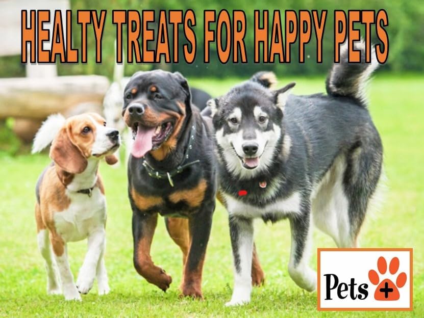 Pets Plus Premium Dog Treats โ Venison Jerky, 5 Pack | All-Natural, High-Protein Dog Chews, Grain-Free Healthy Treats for Training, Rewards & Dental Support