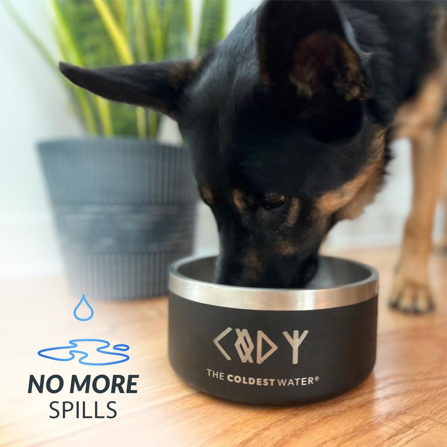 Coldest Dog Bowl - Anti Rust Metal, Non Slip, 3 Layers Insulated Stainless Steel Dog Bowls - Spill Proof & Heavy Duty - Water Bowl for Dogs, Cats & Pets, Dish Washer Safe (200 oz, Stealth Black)