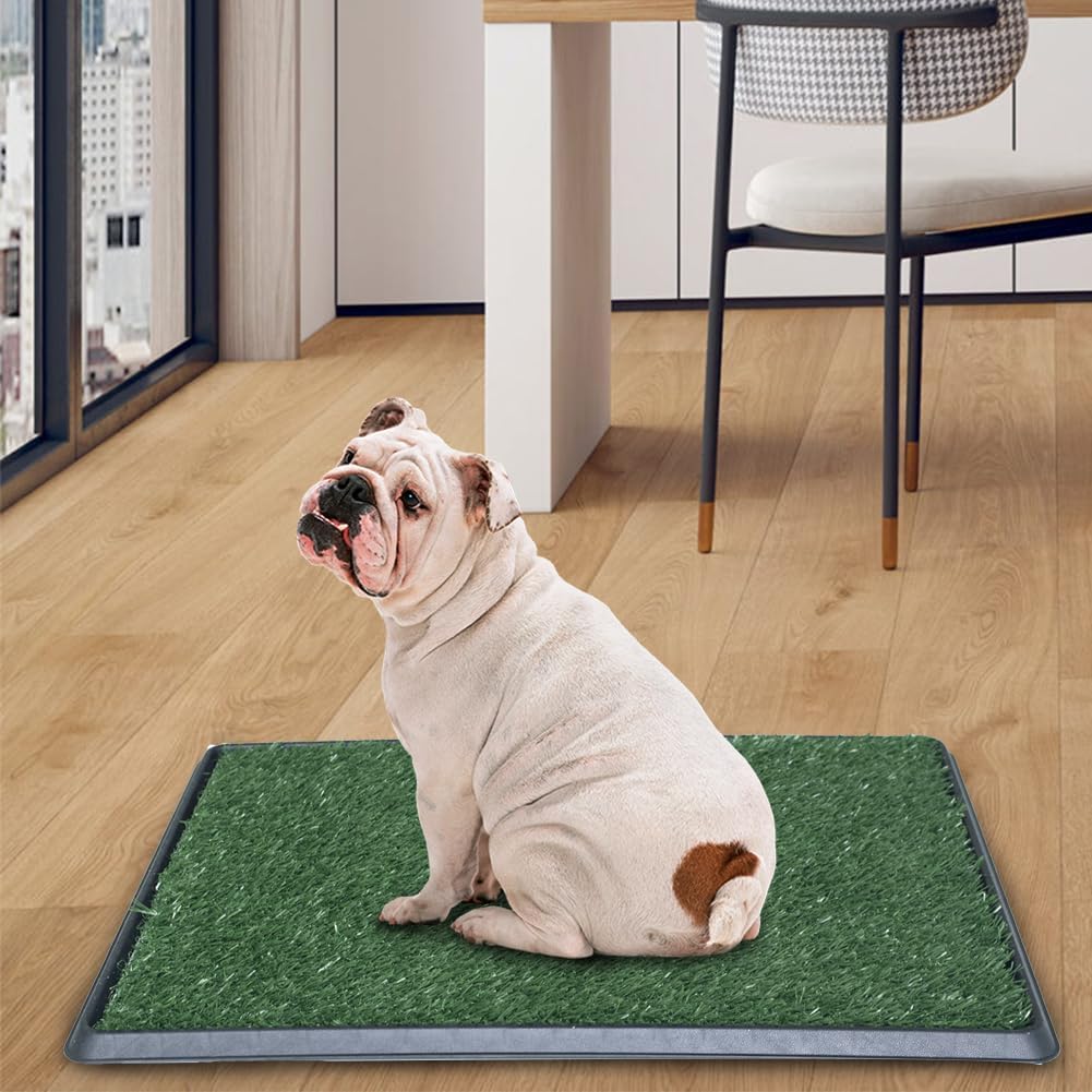 Artificial Grass Dog Grass Pad with Tray, Reusable Pet Urinal Pads for Training, 4 Layers Washable Bathroom Balcony Indoor Dog Potty (M-20×25")