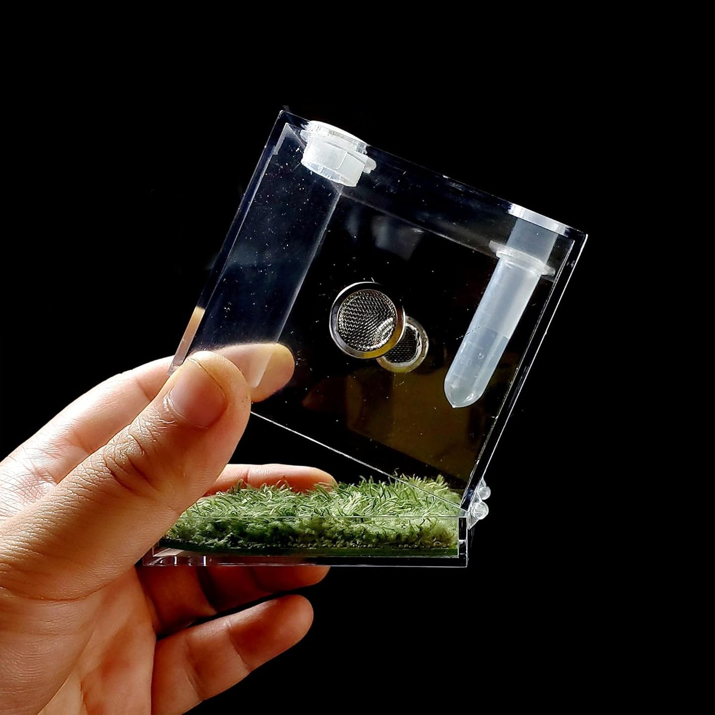 crapelles Jumping Spider Micro Big Habitat, Small Pet Insect Breeding Box, 360 Degree High Transparent Reptile Cage, Acrylic Case Mini Carrier for Amphibians, Feeding Container Enclosure Accessories