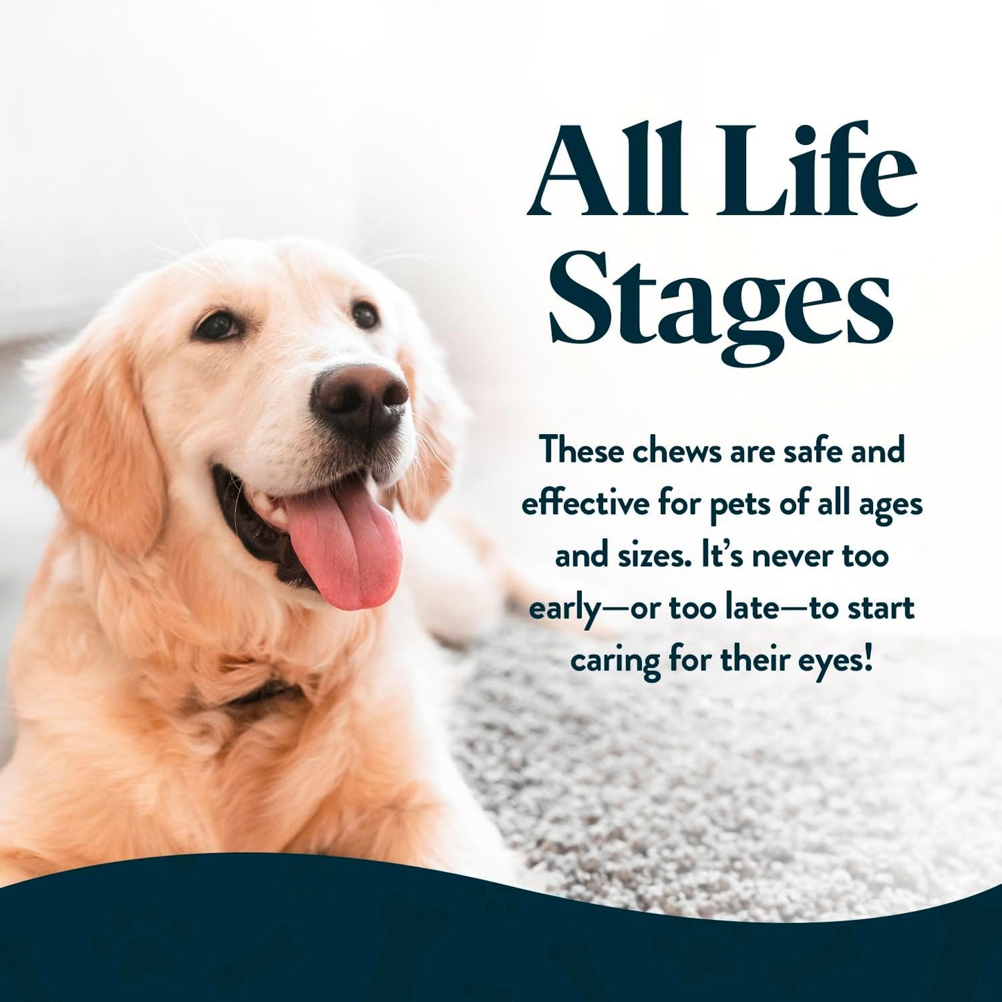 Vision Chews Eye Supplements for Dogs & Cats with Omega 3 Krill, Astaxantin, Choline, Lutein, Glutathione, Cat Vision Supplement & Dog Eye Supplements, Chicken Liver Flavor, 60 Chews, 3.5g Each