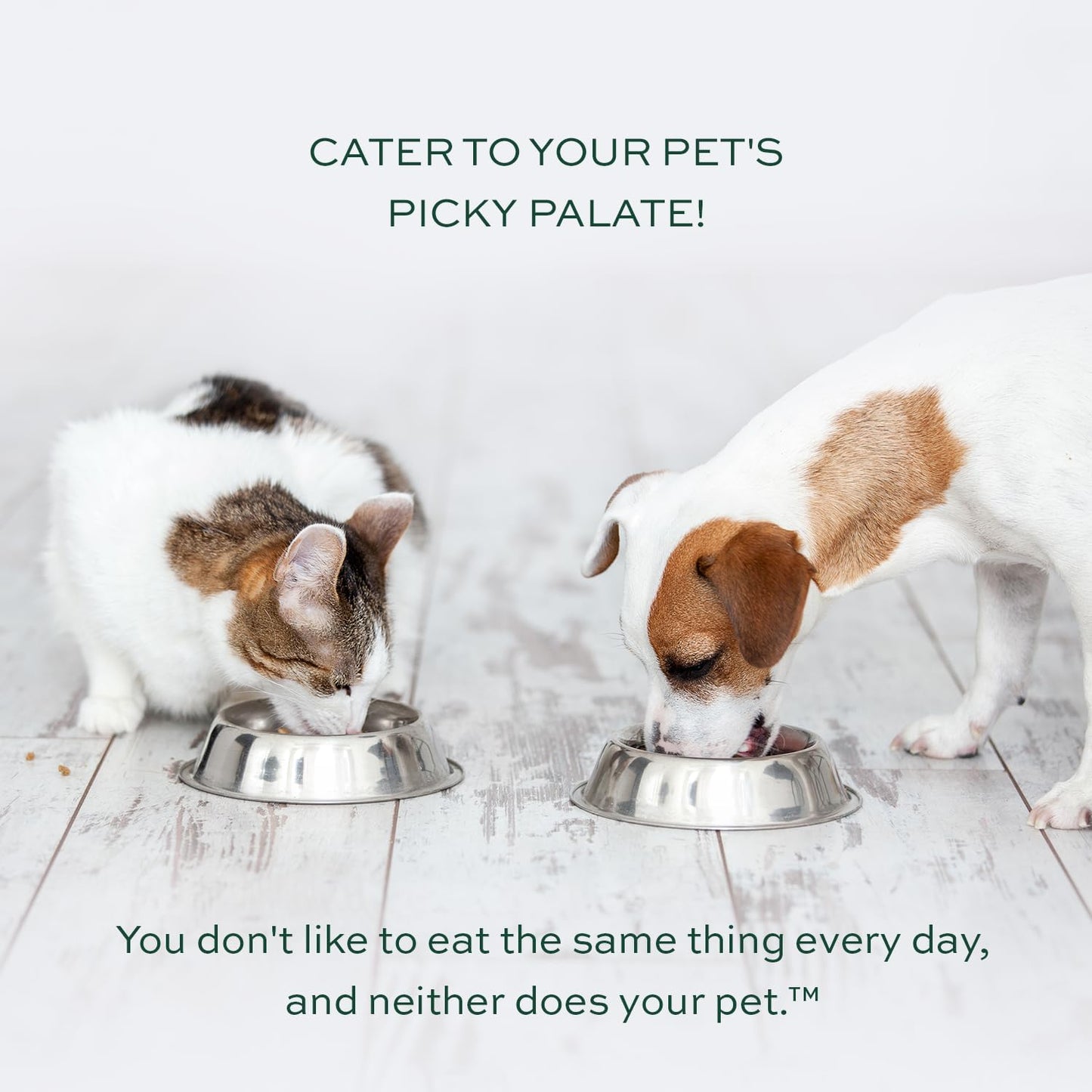 pawTree Healthy Food Toppers for Dogs & Cats - Appetite Booster With Freeze-Dried Proteins. Delicious Pet Food Seasonings and Flavor Enhancer for Picky Eaters & Appetite Stimulation