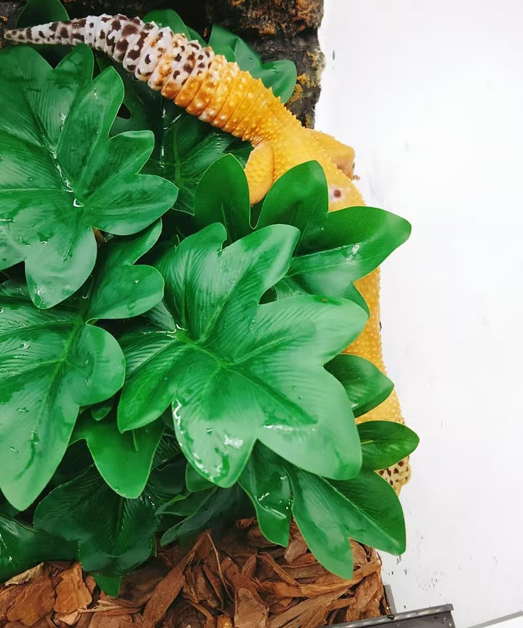 Reptile Plants for Terrarium, Amphibian Habitat Decor Artificial Hanging Plants with Suction Cup, Artificial Plants for Gecko Chameleon Snake Tortoise Tank Accessories. 2-Pack(Philodendron selloum)