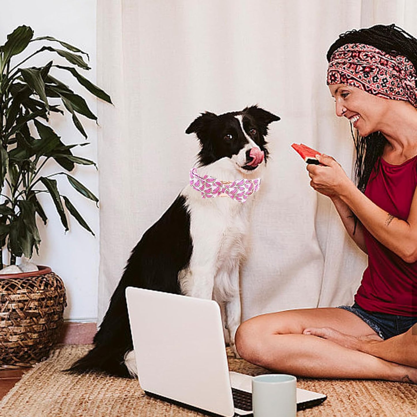 Elegant little tail Dog Collar, Watermelon Print Pet Collar Summer Dog Collar Durable Metal Buckle Dog Collars Cotton Pet Adjustable Dog Collars for Small Dogs