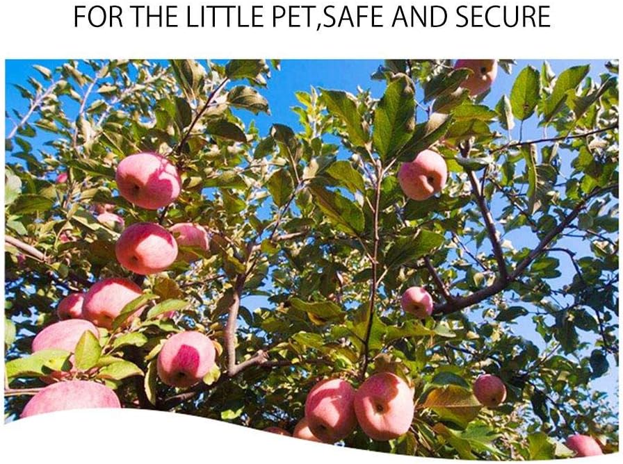 Bunny Chew Toys for Teeth, Organic Apple Wood Molar Sticks with Timothy Hay Circles for Bunny Chinchilla Guinea Pig Hamsters Holland Lop Prairie Dogs Squirrels Gerbils, Improves Dental Health