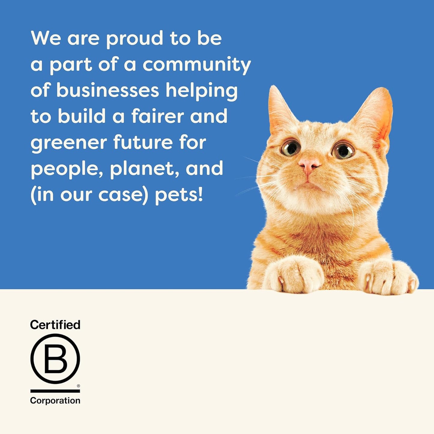 Applaws Natural Wet Cat Food in Gravy, Limited Ingredient Canned Wet Cat Food, No Additives, Made with Natural Ingredients, Fish Selection in Gravy Cans (12 x 5.5oz Cans)