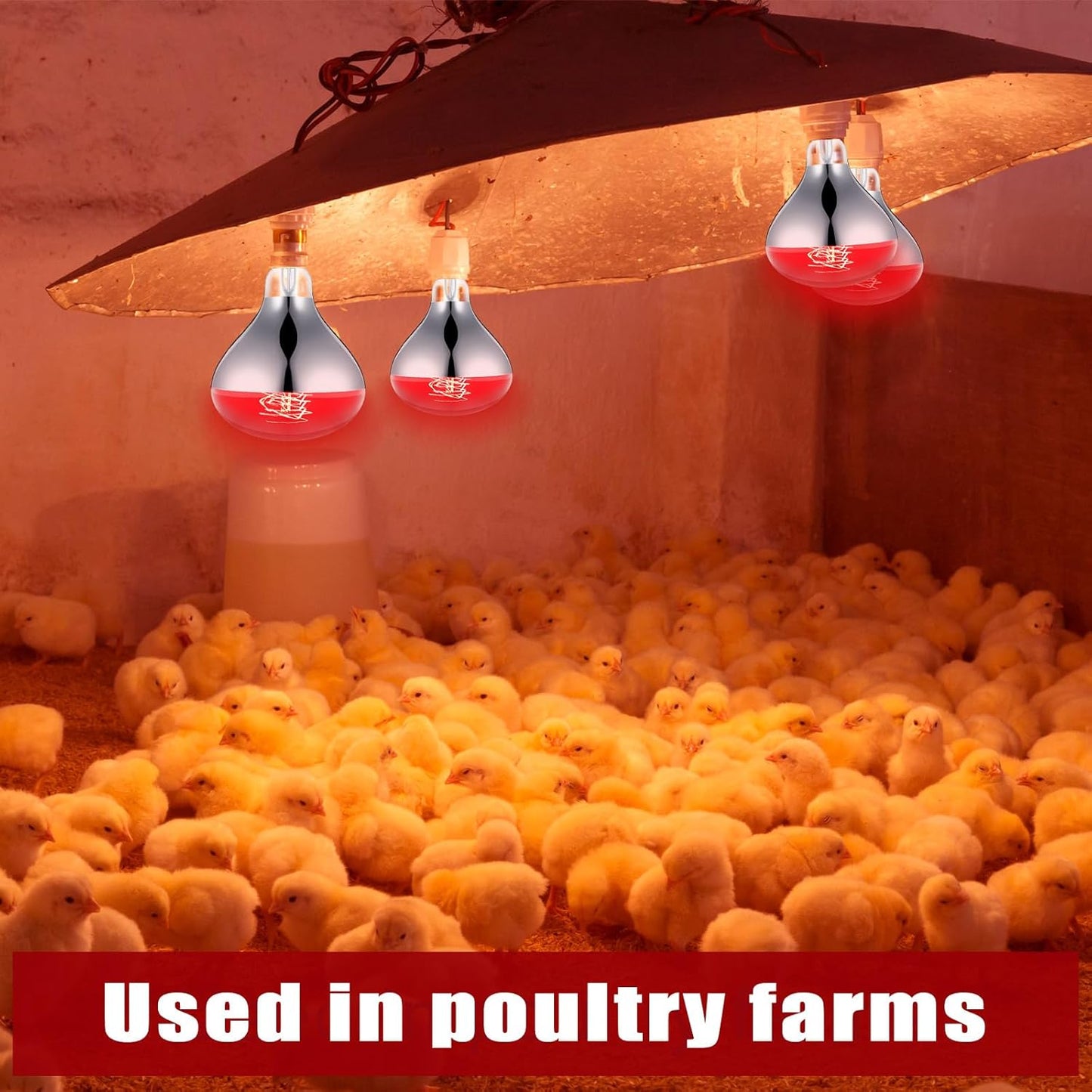 VIHOSE 4 Pack 250 Watt Heat Lamp 120v R40 Heat Lamp Bulbs Glass Incandescent Light Bulbs Incandescent Heating Lightbulbs for Reptiles Chicks Food Puppies Bathroom, Use E26 Base (Silver,Red)