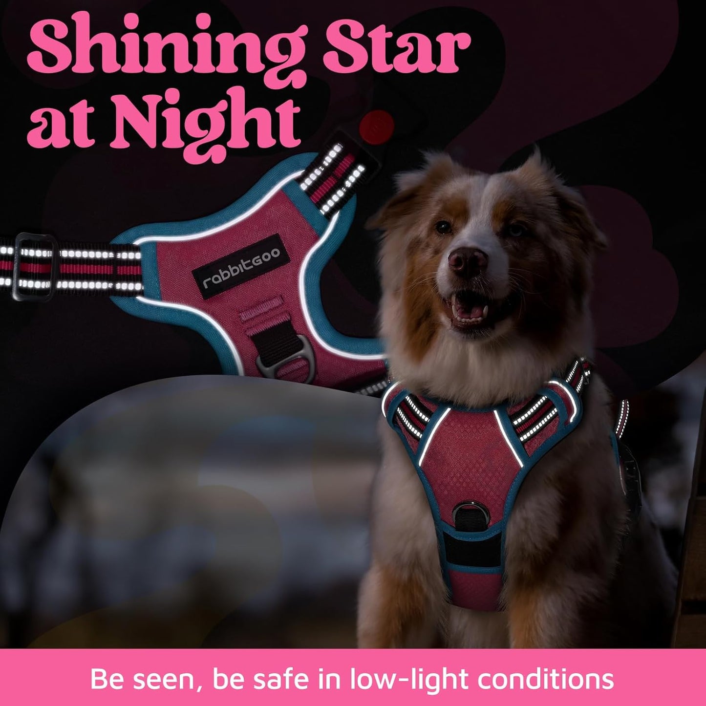 rabbitgoo Dog Harness Small Sized, No Pull Dog Vest with 3 Buckles, Adjustable Soft Padded Pet Harness with Easy Control Handle and Reflective Strips, Rose Pink & Blue, S