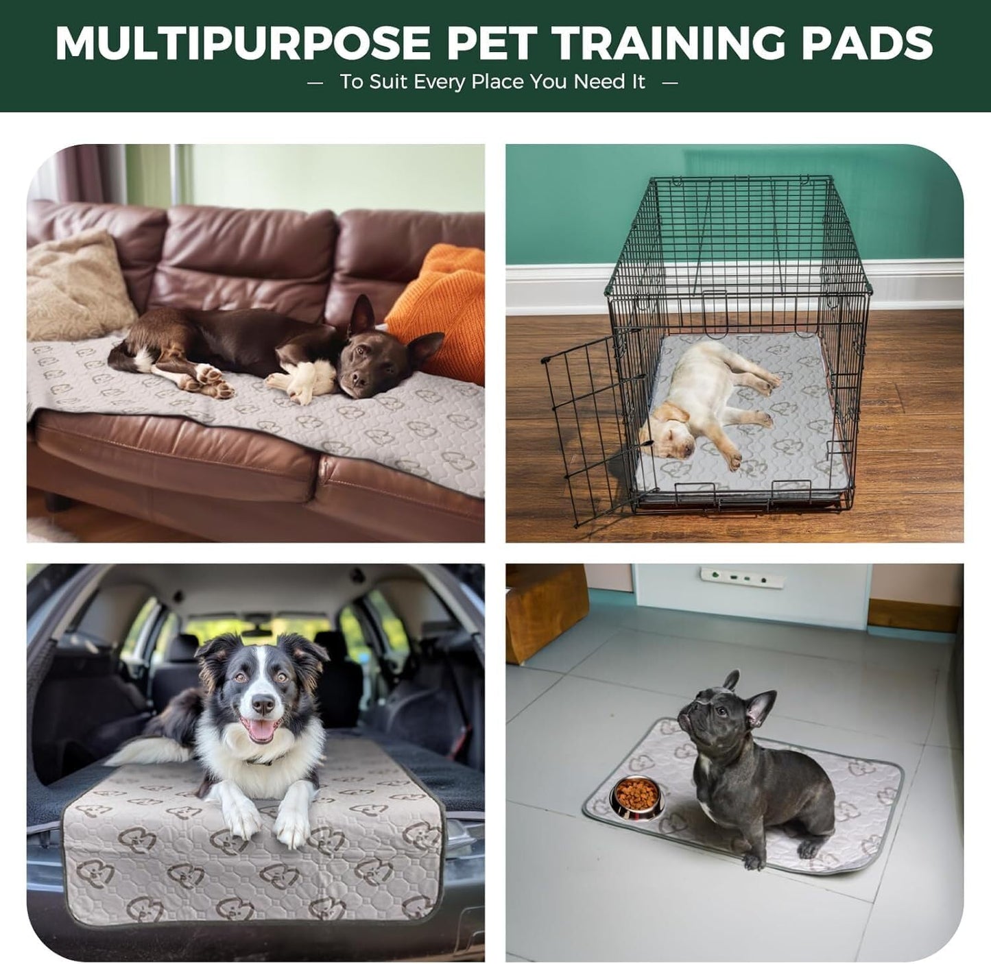 FXW Washable Pee Pads for Dogs, Puppy Pads with Super Absorbent, Specifically Designed for Potty Training, 35" Square, Khaki, 4 Packs