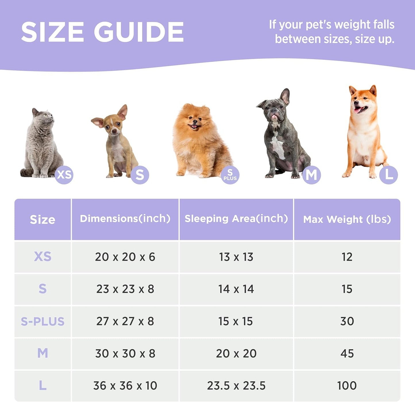 LE SURE Donut Large Dog Bed - Round Cat Beds for Indoor Anti-Anxiety Calming Pet Beds, Washable Cute Modern Beds with Teddy Sherpa Plush & Anti Slip Bottom, 36 Inch, Purple