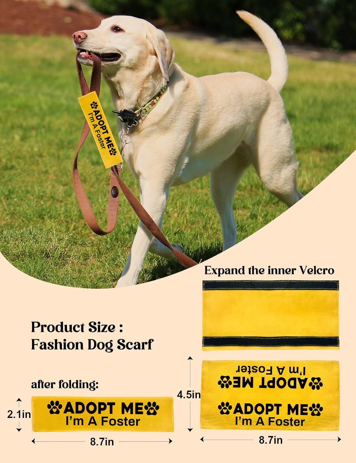 Adopt Me I’m A Foster Dog Leash Sleeve, Funny Yellow Dog Leash Wrap Alert Hanging ID Patch Tag, Adopt Me Leash Sleeve Dog No Pet Leash Sleeve Pet Birthday Gifts for Dog Owners