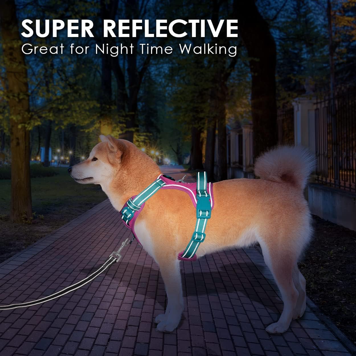 PHOEPET No Pull Dog Harness, Unique Colors Reflective Adjustable Dog Vest, with Soft Training Handle Metal Clips for Small Medium Large Dogs (Purple Base & Green Straps,XS)