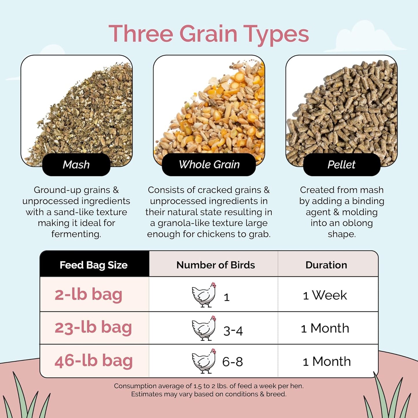 Organic Chicken Feed – Layer Mash, Non-GMO, USA Grown, 16% Protein, Corn-Free, Soy-Free, Non-Medicated Feed for Chickens, 2 lbs Sample
