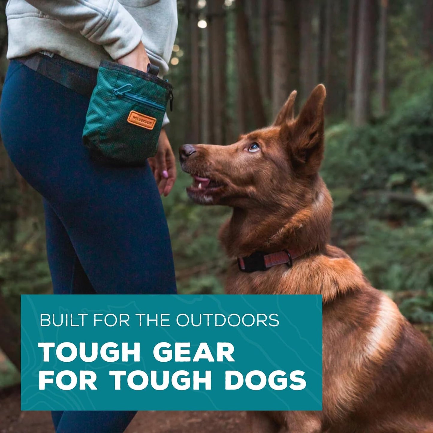 Wilderdog Dog Training Treat Pouch with Magnetic and Zipper Closure, Carabiner Attached, Adjustable Waist Strap - Black