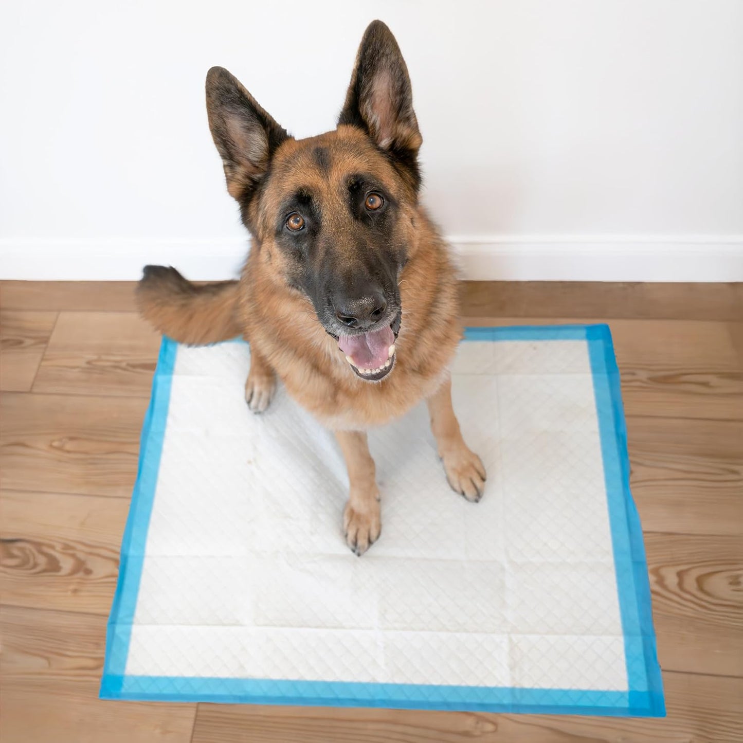 Four Paws Wee-Wee Superior Performance XL Pee Pads for Extra Large Dogs, Leak-Proof Floor Protection Dog & Puppy Quilted Potty Training Pads, Unscented, 28" x 34" (150 Count)