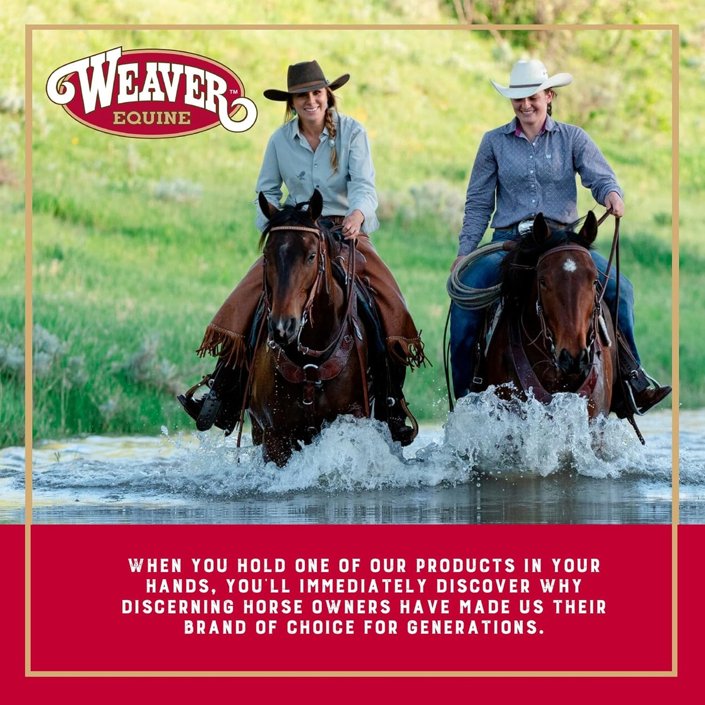 Weaver Equine 6-Piece Horse Grooming Kit, Ergonomic Gentle Horse Care Kit, Equestrian Supplies for Bathing Support, Detangling, and More, Mint/Gray