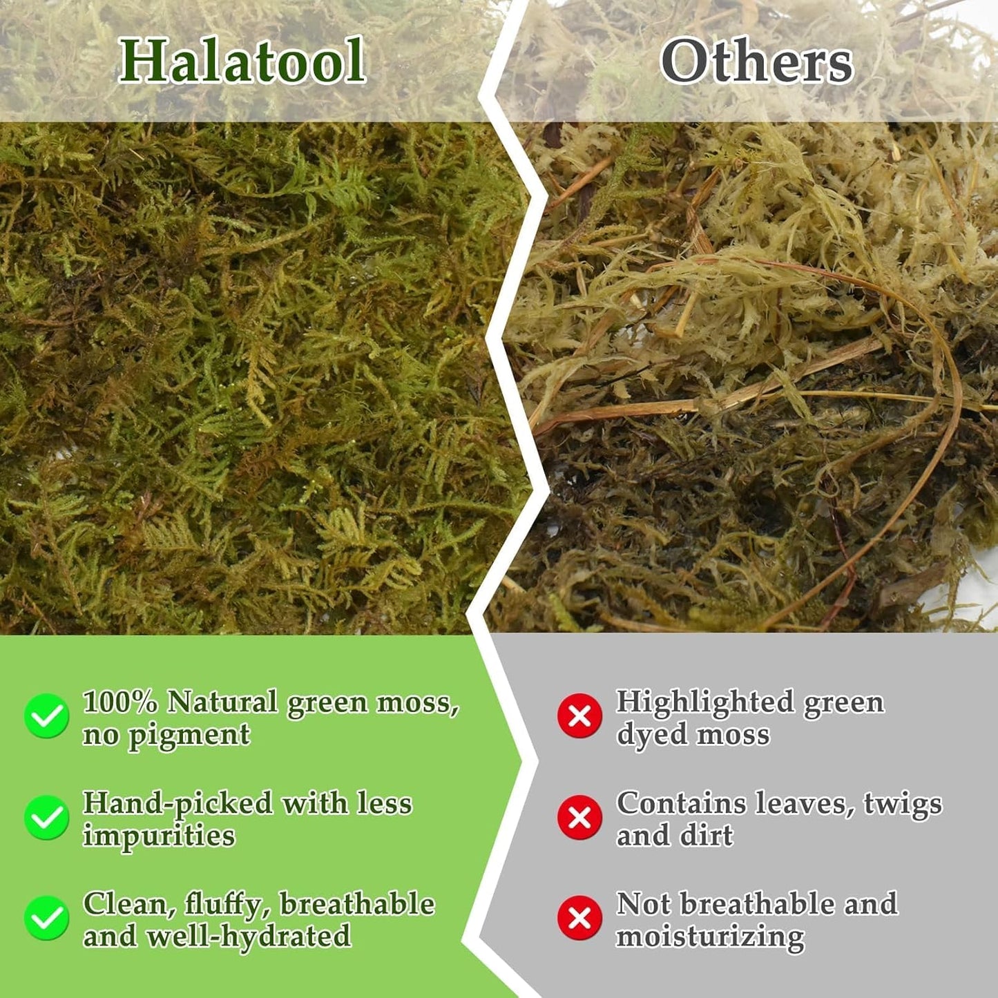 Halatool 1.1LB Natural Sphagnum Moss for Reptiles- 25QT Green Live Moss for Terrarium Plants Long Fiber Reptile Moss for Leopard Gecko Snake Hamsters Tortoises Frogs Lizards Salamanders