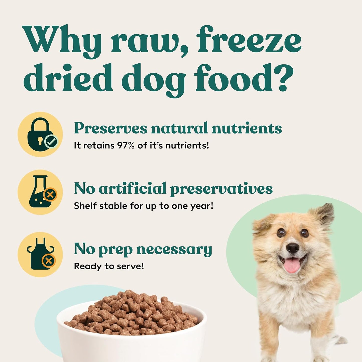 Little Hunter- Freeze Dried Raw USDA Beef Dog Food | for Small & Large Breeds | High Protein + Organic Fruits & Veggies Veterinarian Made Small Batch