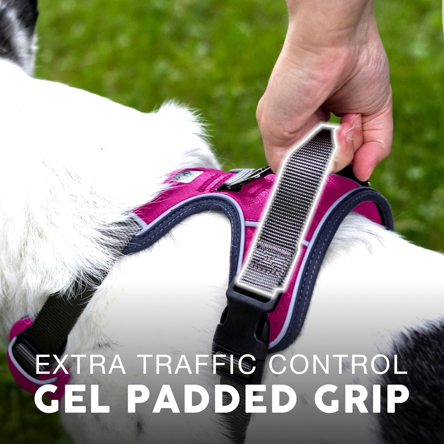 Embark Adventure Dog Harness, Reflective Trim No Pull Dog Harnesses for Small Sized Dogs - Military Grade Nylon, Front Clip with Gel Lined Handle.