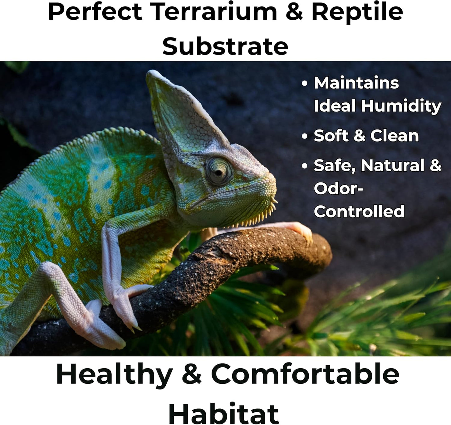 Peat Moss for Plants โ Organic Sphagnum Peat Moss for Orchids, Terrariums, Seed Starting, Reptiles & Potting Soil Mix (20 quarts)