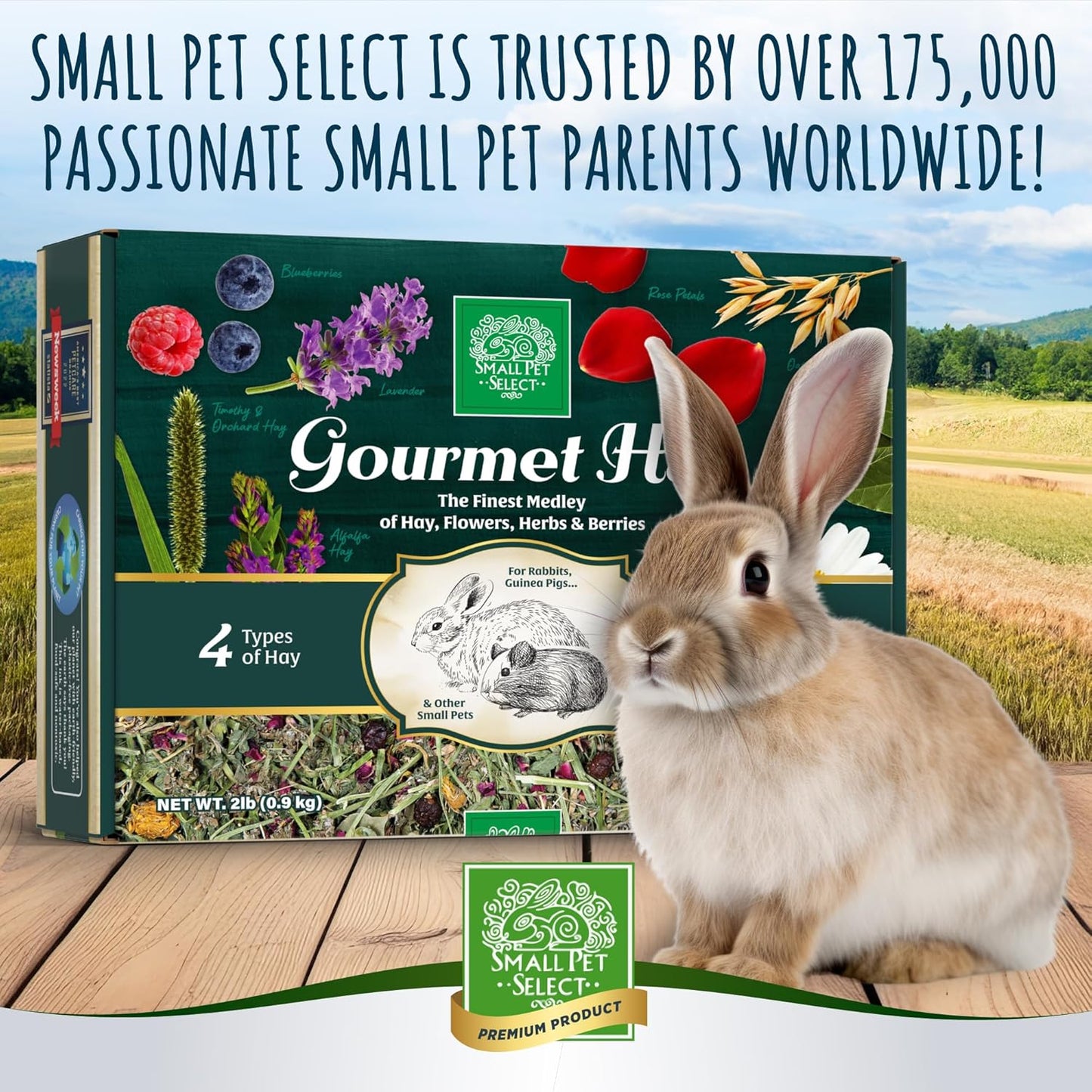 Small Pet Select - Gourmet Hay Pet Food, Exclusive Treat Hay, Flowers, and Herb Blend, for Rabbits, Guinea Pigs, Small Animals, 2lb