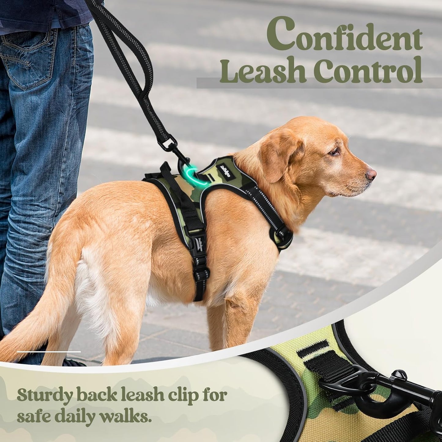 rabbitgoo Dog Harness No Pull with 2 Leash Clips, Adjustable Soft Padded, Reflective Oxford No Choke Pet Vest with Easy Control Handle for Large Dogs, Green Mountain, XL