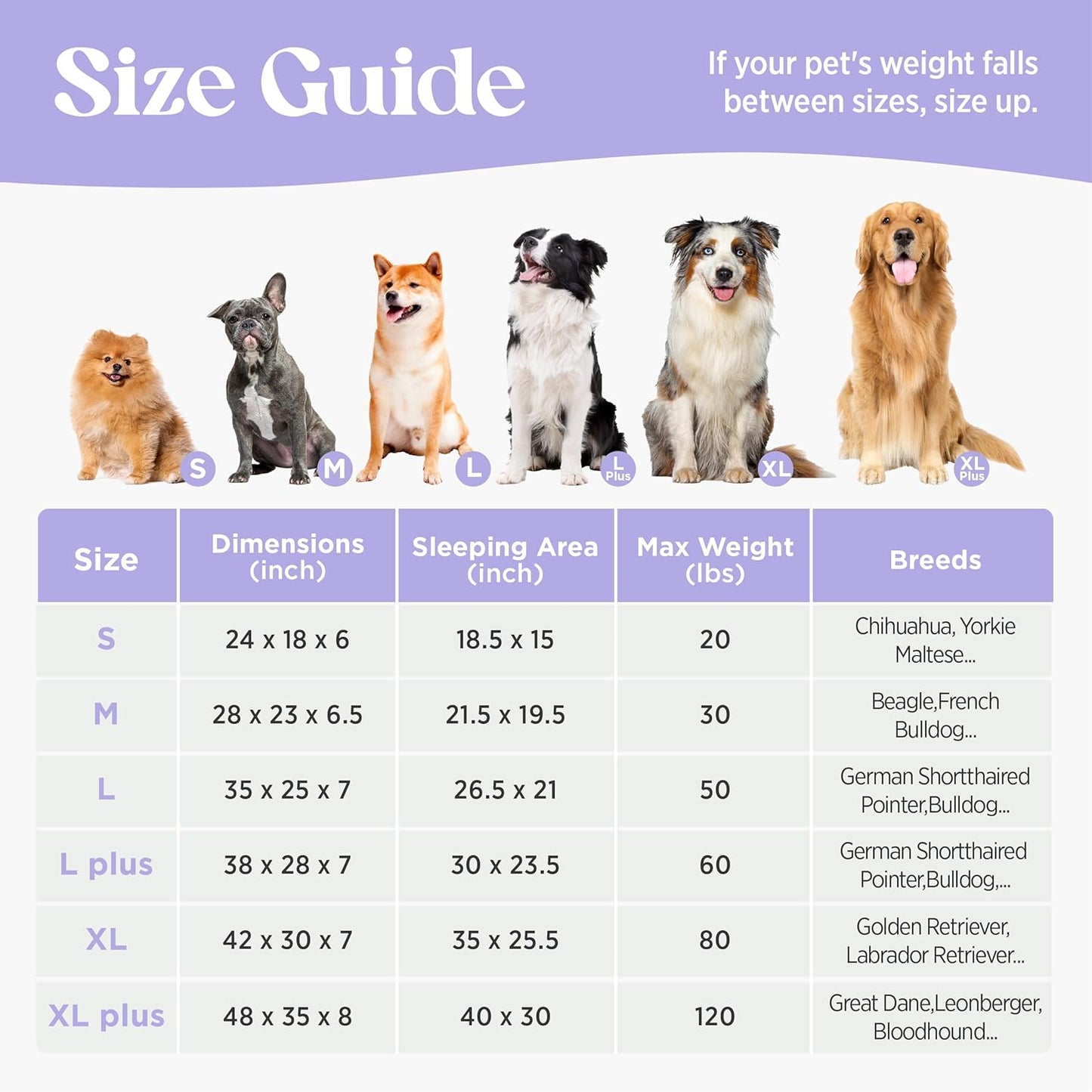 LE SURE Cute Dog Bed for Small Dogs, Orthopedic Waterproof Small Pet Beds with Sides, Non-Slip Bottom and Egg-Crate Foam Puppy Couch Sofa with Washable Removable Cover, Blue