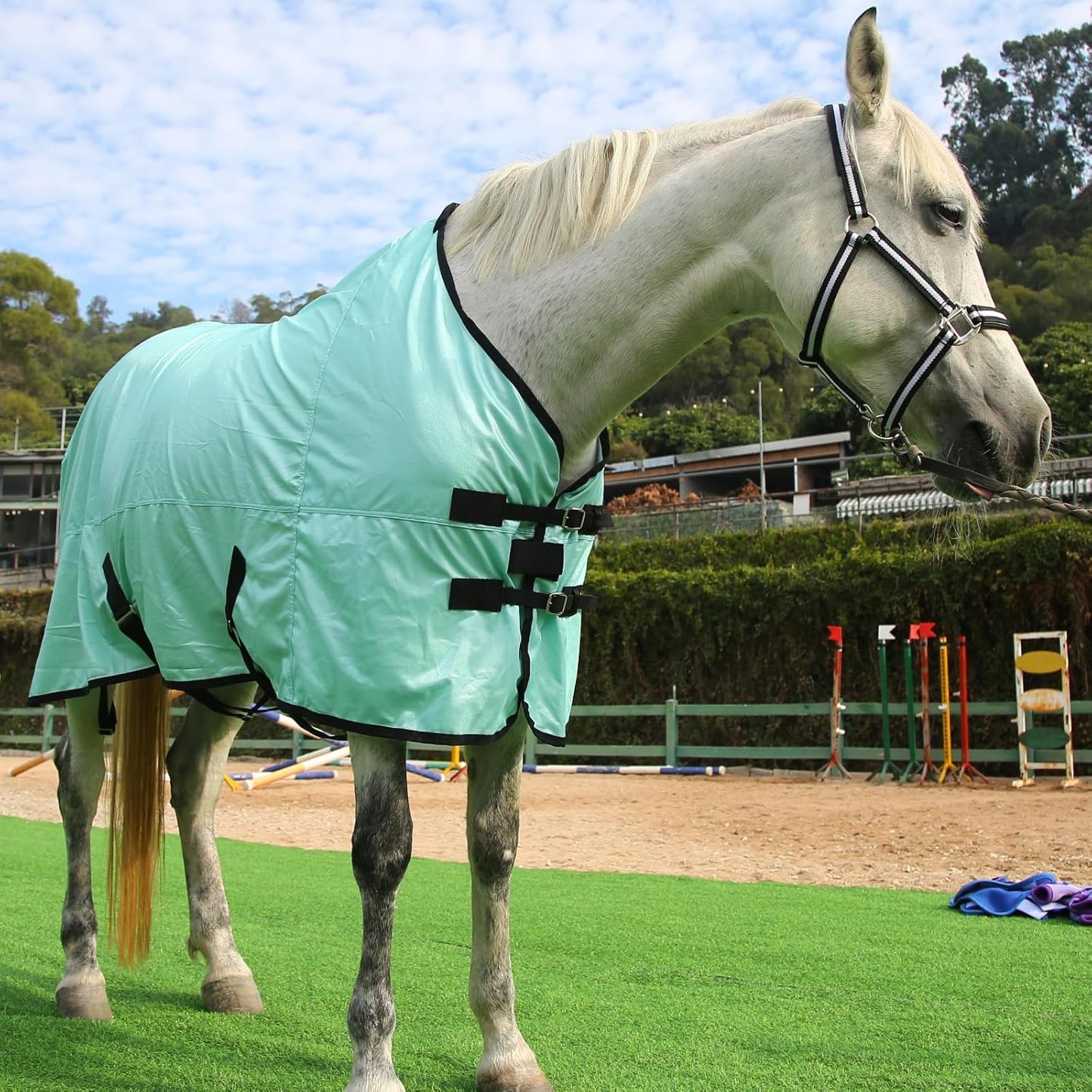 Horse Fly Sheet, Standard Neck Comfy Mesh Fly Sheet for Horses, Equine Summer Sheets UV-Protective Green 78