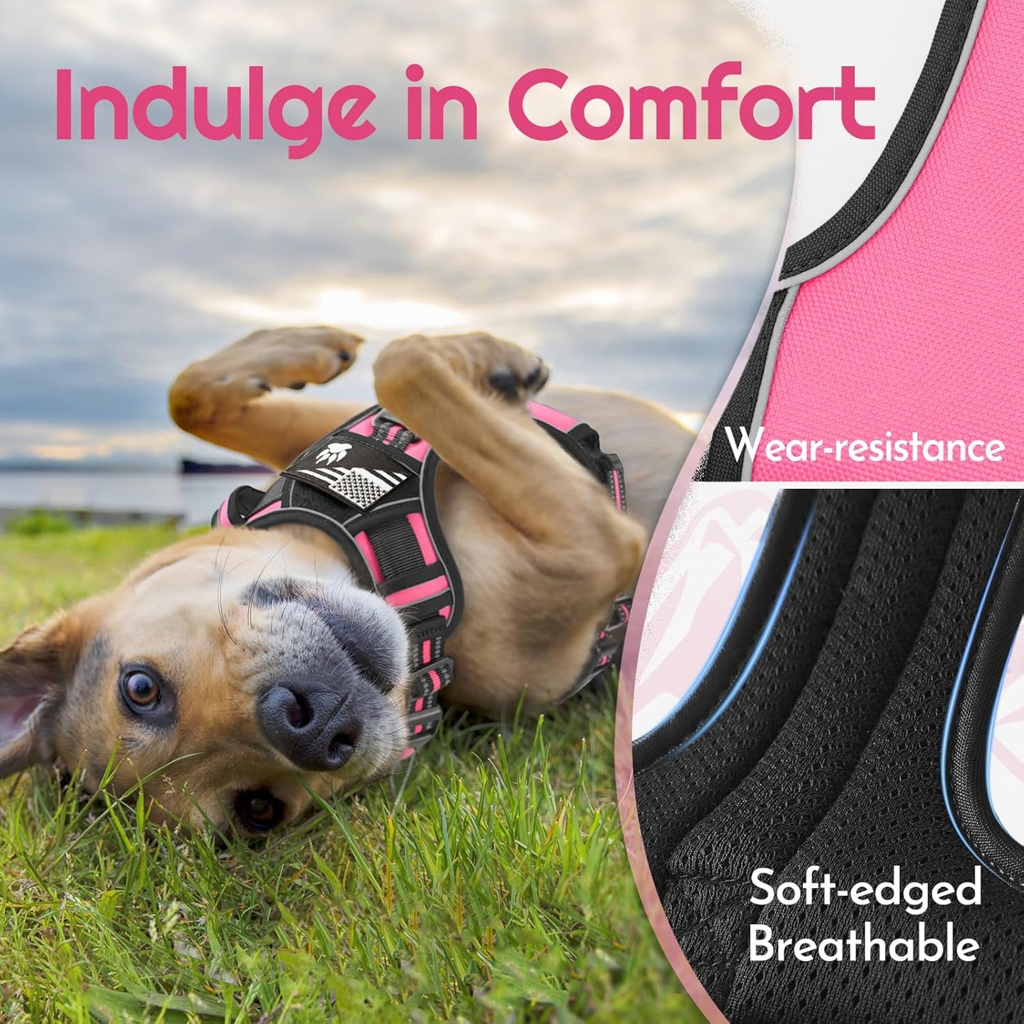 Eagloo Dog Harness Medium Sized, Easy Wearing with 3 Buckles, Adjustable No Pull Pet Harness with 2 Rings for Walking, No Chock Reflective Soft Padded Vest with Control Handle, Pink & Black, M