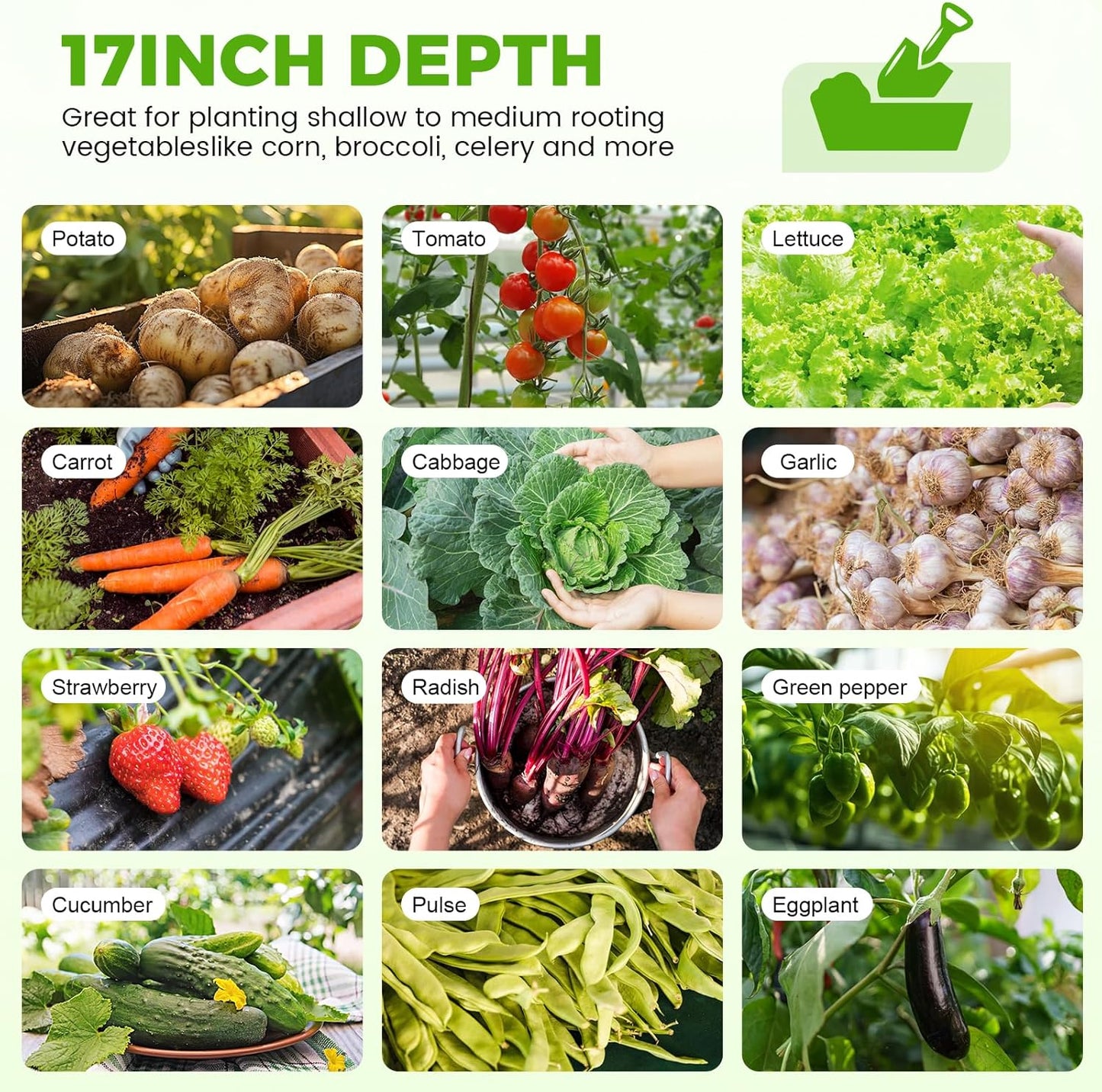 Land Guard 18“ Tall 4×2ft Galvanized Raised Garden Bed Kit, Galvanized Planter Garden Boxes Outdoor, Oval Large Metal Raised Garden Bed for Vegetables……… (Pearl White, 4×2×1.5ft)