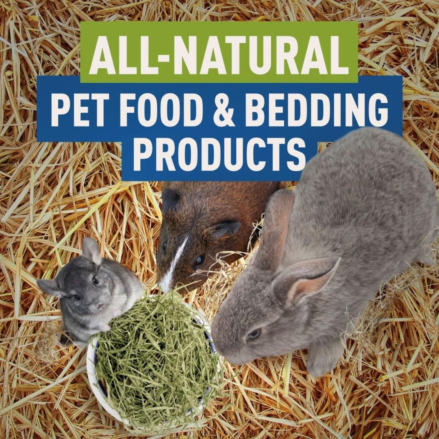 Blue Mountain Hay | Organic Bedding Straw (25 lb) | Natural Pet Bedding & Insulation for Rabbits, Guinea Pigs, Goats, Chickens, Stray & Feral Cats, and Small Animal Shelters