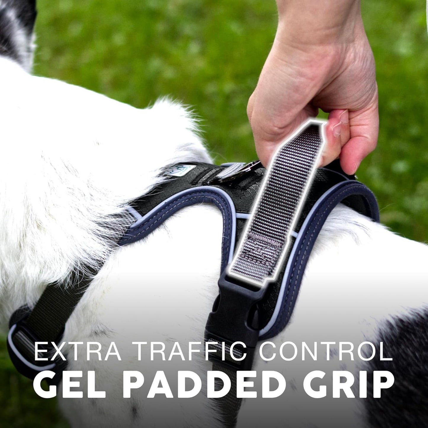 Embark Adventure Dog Harness, No-Pull Reflective Trim Dog Harness for Small, Medium & Large Dogs - Military Grade Nylon, 2 Leash Clips & Gel Lined Handle. Soft & Padded Puppy Dog Vest for Any Breed