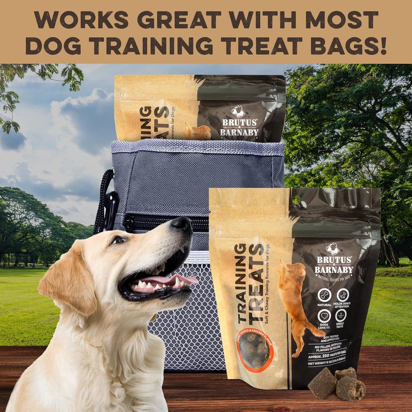 BRUTUS & BARNABY Training Treats for Dogs - Sweet Potato & Chicken - All-Natural Healthy Low Calorie Treat - Great to Use for Rewards in Training Your Puppy Or Dog