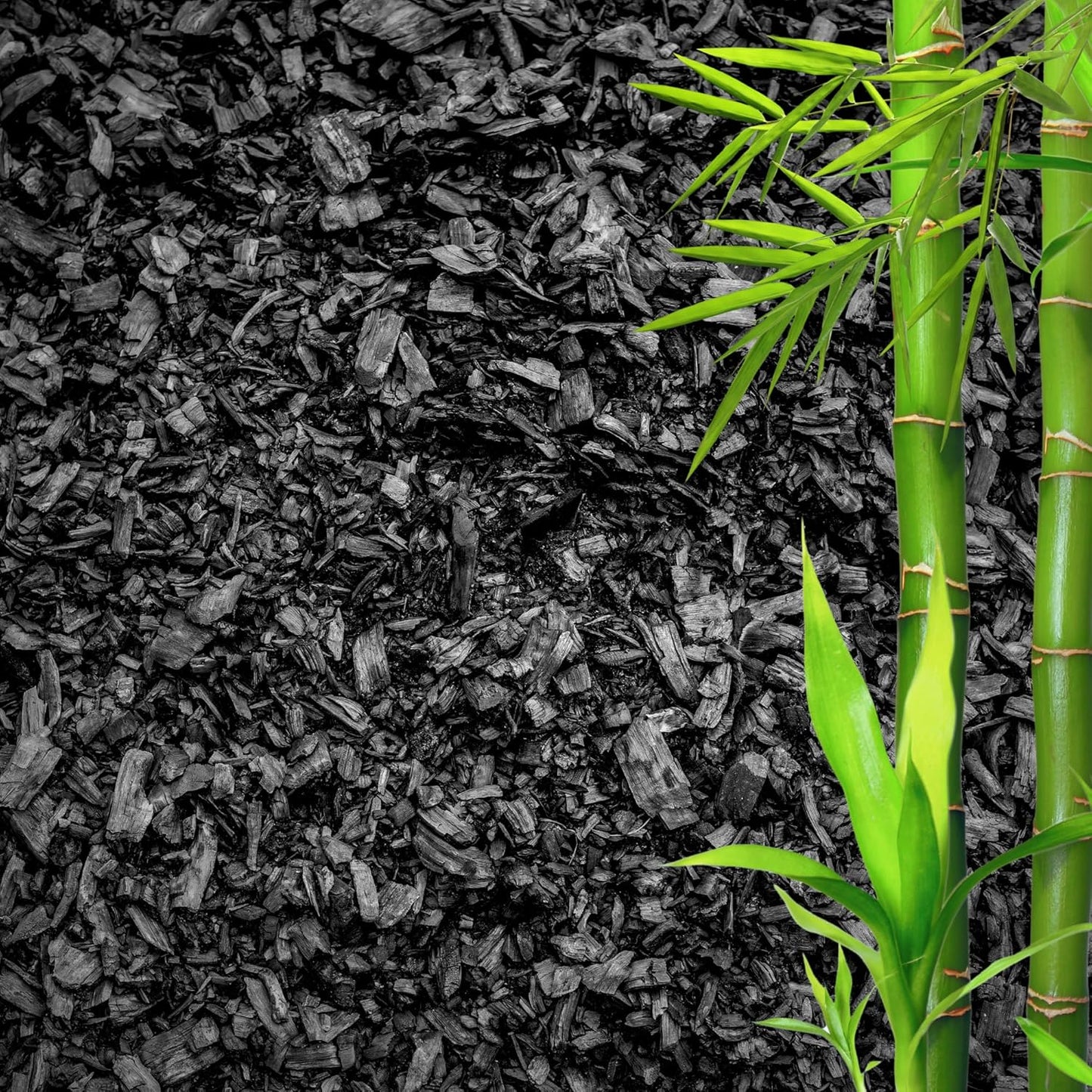 Horticultural Charcoal for Plants โ Organic Bio Char Soil Amendment for Terrariums, Indoor Plants & Gardening, Made in USA (3 quarts)