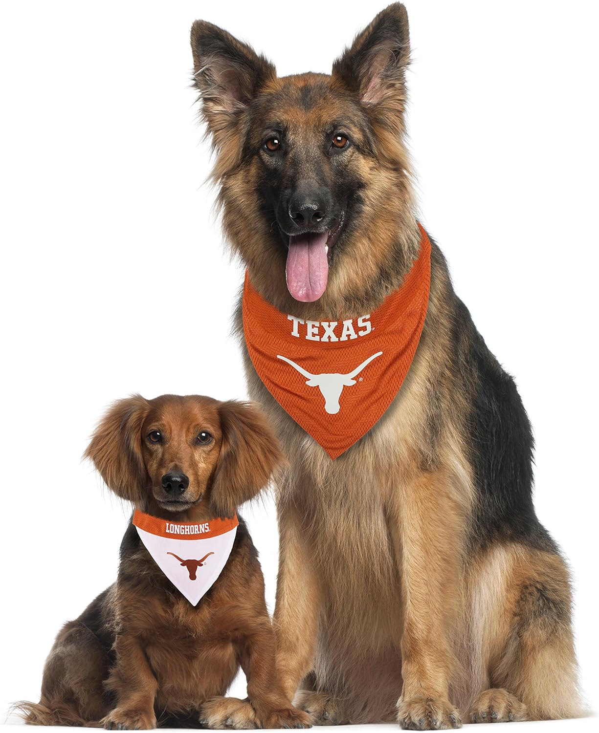 Pets First Collegiate Pet Accessories, Reversible Bandana, Texas Longhorns, Large/X-Large