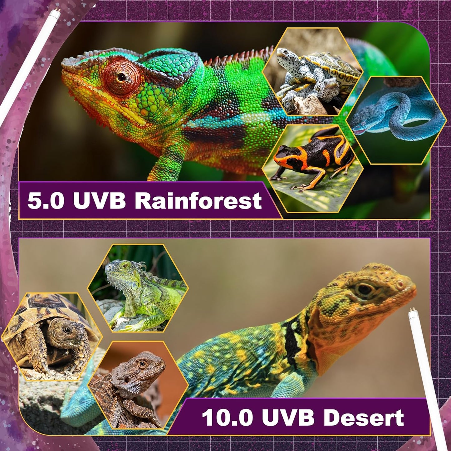 10.0 UVB Light for Reptiles, T5 HO 24 Watt Reptile Lamp Tube, Pack of 2 Fluorescent UVB Bulb, Basking Light for Bearded Dragon, Simulate Natural Sunlight for Reptiles and Amphibians