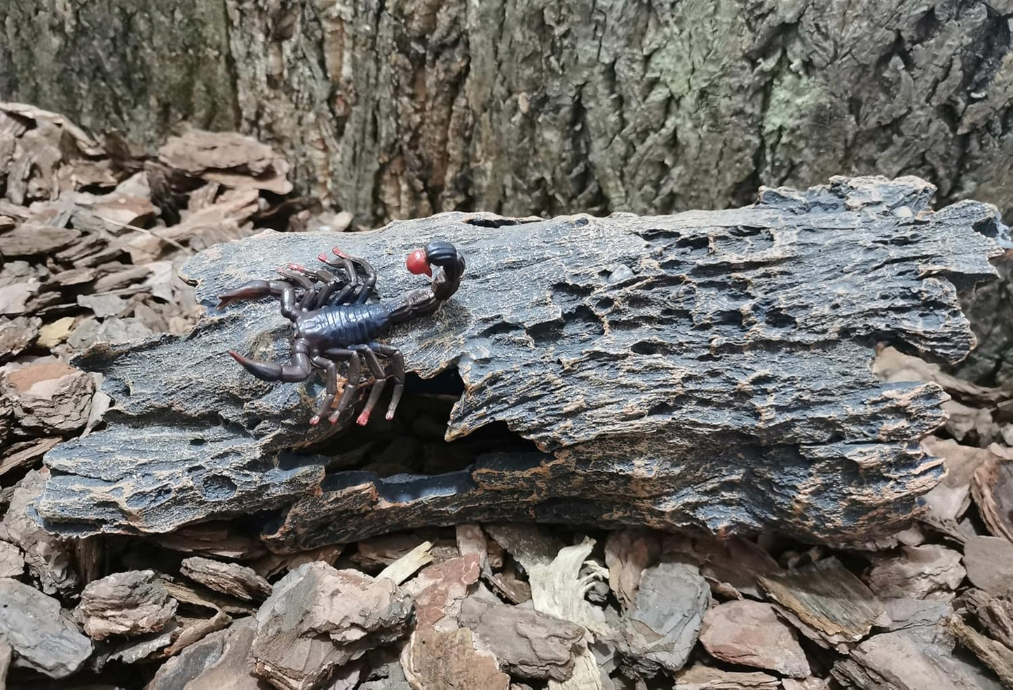 Reptile Hide Bark Texture,Snake Hide,Bearded Dragon Basking Platform,Aquarium Decor for Amphibians,Leopard Gecko,Lizard,Turtle,Tortoise,Betta Fish,Spider,Scorpion,Axolotl
