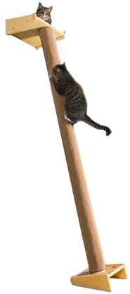 SHENGOCASE Modern 78.7“ Tall Leaning Cat Tree Tower Scratching Post Pillar by SHENGOCASE