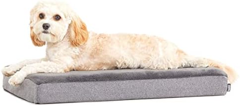 BarkBox Orthopedic Dog Bed by BARK