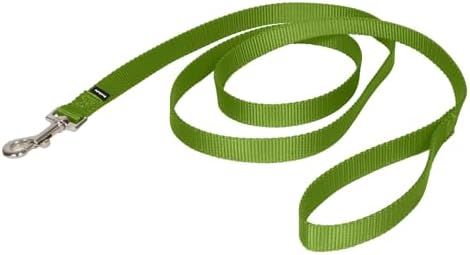 PetSafe Nylon Dog Leash by PetSafe