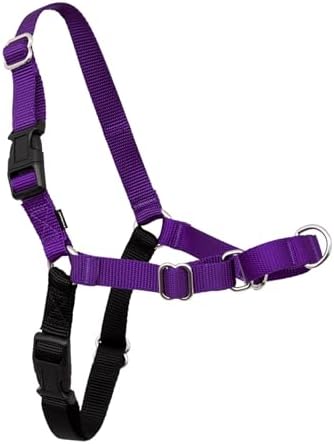 PetSafe Easy Walk Harness, No Pull Dog Harness, Deep Purple, Medium/Large by PetSafe