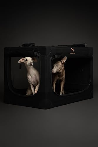 Noah & Paw Collapsible Dog Crate - Image 2