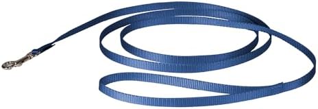 PetSafe Nylon Dog Leash by PetSafe
