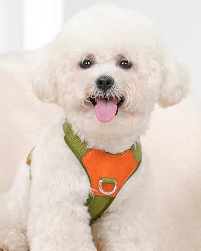 Green xs Dog Harness for Small Dogs, No Pull Dog Harness - Image 2
