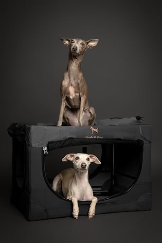 Noah & Paw Collapsible Dog Crate, 26 in Soft Medium Dog Crate, 900D Oxford - Image 2